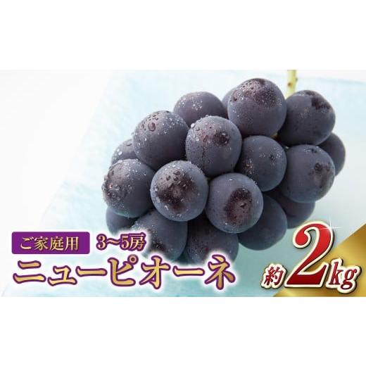 ふるさと納税 ぶどう 岡山県 倉敷市 [ご家庭用]ニュー ピオーネ 3〜5房(約2.0kg) ブドウ 葡萄 岡山県産 国産 フルーツ 果物 岡山県 倉敷市 2026年8月…