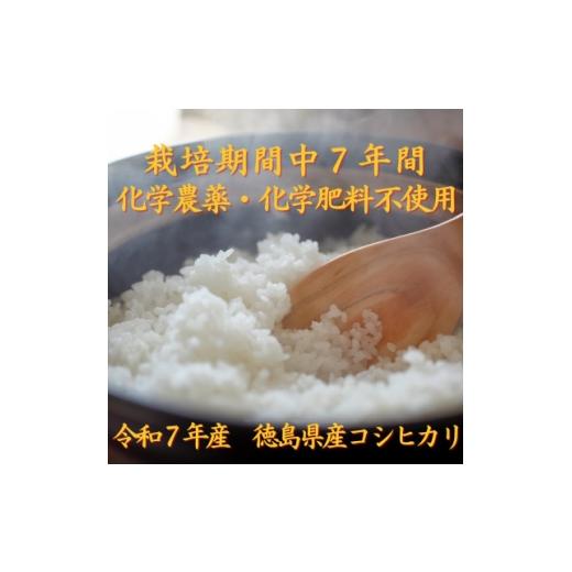 ふるさと納税 米 徳島県 阿南市 栽培期間中7年間化学農薬・化学肥料不使用 徳島県産コシヒカリ 10kg 精米 1711898