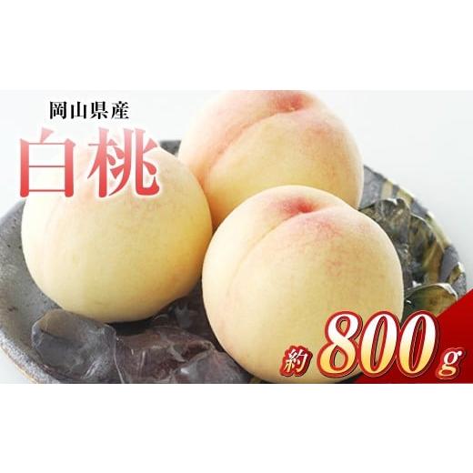 ふるさと納税 もも 岡山県 倉敷市 白桃 3玉(合計約800g)果物 デザート スイーツ フルーツ 果肉 美味しい 甘い 柔らかい 上品 2026年7月上旬〜7月下旬迄順次…