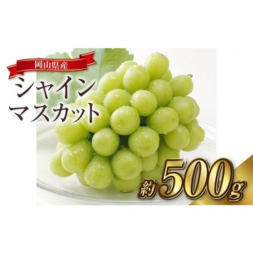 ふるさと納税 ぶどう マスカット 岡山県 倉敷市 シャインマスカット 1房(約500g)果物 ぶどう フルーツ デザート スイーツ 高糖度 甘い 種なし 大粒 人気 皮…