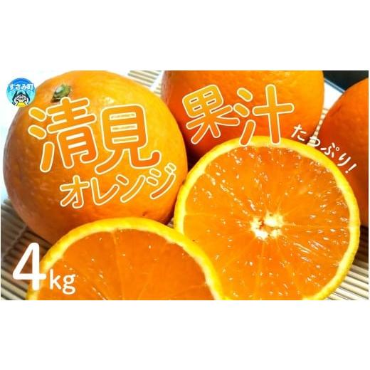 ふるさと納税 果物類 みかん 和歌山県 すさみ町 農家直送 果汁たっぷり 清見オレンジ 約4kg 有機質肥料100% サイズ混合 2026年3月上旬から3月下旬より順…