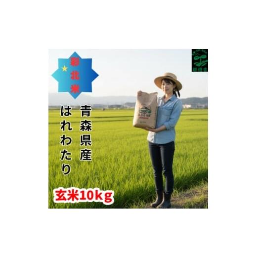 ふるさと納税 玄米 青森県 青森市 先行予約受付 令和8年 青森県産はれわたり 玄米10kg 彩北米 1714458