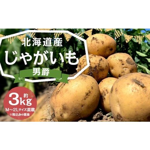ふるさと納税 野菜類 じゃがいも 北海道 京極町 北海道産 じゃがいも (男爵) 約3kg 山田農場 だんしゃく ジャガイモ 芋 いも 野菜 やさい ほくほく 北海道 …