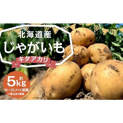 ふるさと納税 野菜類 じゃがいも 北海道 京極町 北海道産 じゃがいも キタアカリ M〜2Lサイズ混載 約5kg 1箱 山田農場 ジャガイモ 芋 いも イモ 国産 2026年9…