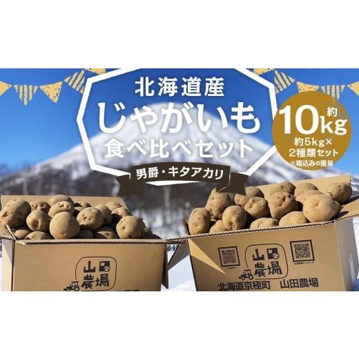 ふるさと納税 野菜類 じゃがいも 北海道 京極町 北海道産 じゃがいも 男爵 キタアカリ 食べ比べセット M〜2Lサイズ混載 各約5kg 合計約10kg 2箱 山田農場 ジャ…
