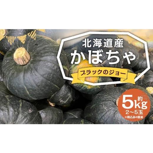 ふるさと納税 野菜類 北海道 京極町 北海道産 かぼちゃ (ブラックのジョー) 約5kg セット 山田農場 南瓜 カボチャ 野菜 やさい 北海道 京極町 常温 2026年10…