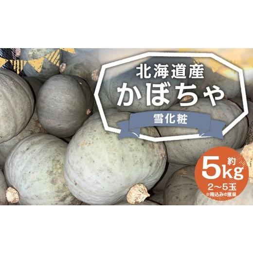 ふるさと納税 野菜類 北海道 京極町 北海道産 かぼちゃ (雪化粧) 約5kg セット 山田農場 南瓜 カボチャ 冬至用かぼちゃ 野菜 やさい 北海道 京極町 常温 202…