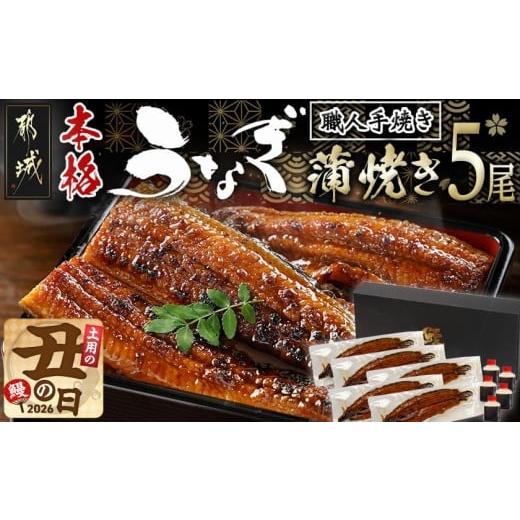 ふるさと納税 うなぎ 宮崎県 都城市 丑の日 職人手焼きの本格うなぎ蒲焼き5尾 7月20日〜25日お届け _32-33-003-5-UG_(都城市) 国産 本格 うなぎ 鰻 特製たれ…