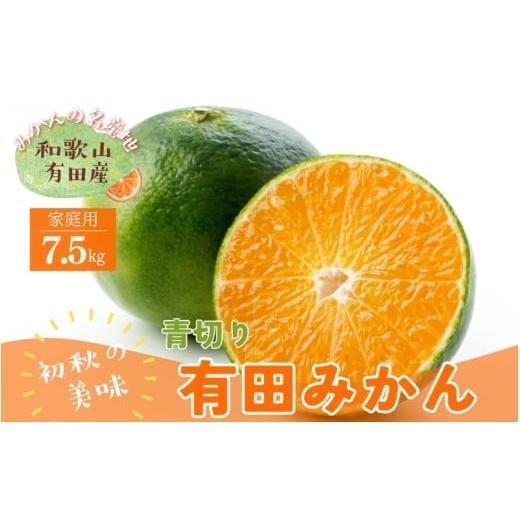ふるさと納税 果物類 みかん 和歌山県 新宮市 先行予約 ご家庭用青切り有田みかん 約7.5kg+200g(傷み補償分) 2026年9月中旬〜10月上旬頃に順次発送予定 ard1…