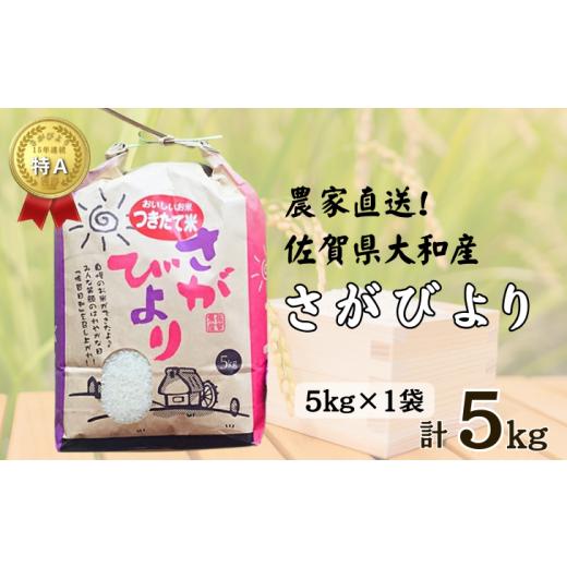 ふるさと納税 米 さがびより 佐賀県 佐賀市 佐賀県大和産「さがびより」5kg 米 農家直送:B170-033