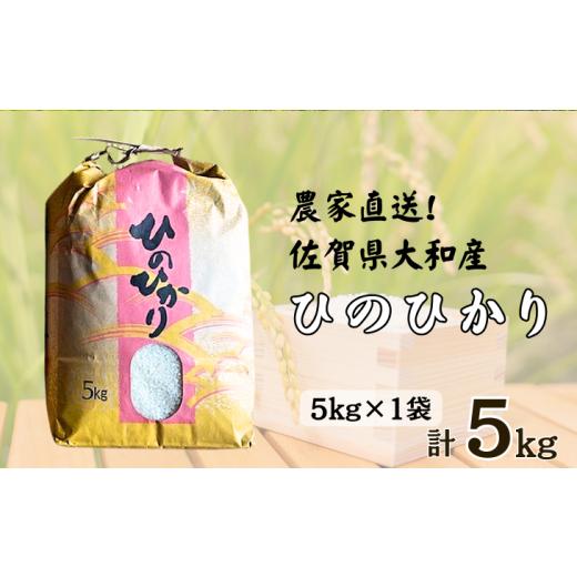 ふるさと納税 米 ヒノヒカリ 佐賀県 佐賀市 佐賀県大和産「ひのひかり」5kg 米 農家直送:B170-034