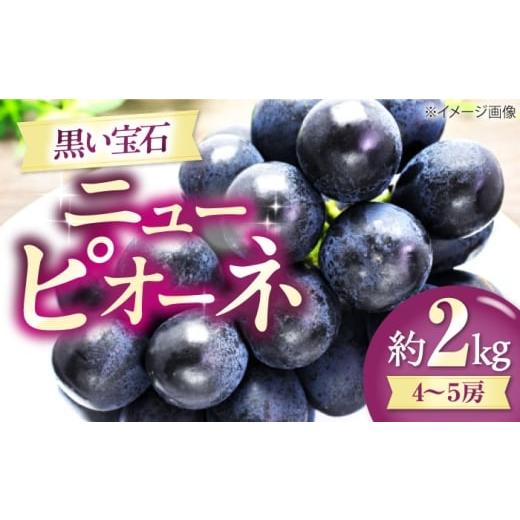 ふるさと納税 果物類 ぶどう 愛媛県 大洲市 先行予約 8月中旬から順次発送 ニューピオーネ 4から5房 約2kg 愛媛県大洲市/有限会社西山青果 フルーツ 果物 …