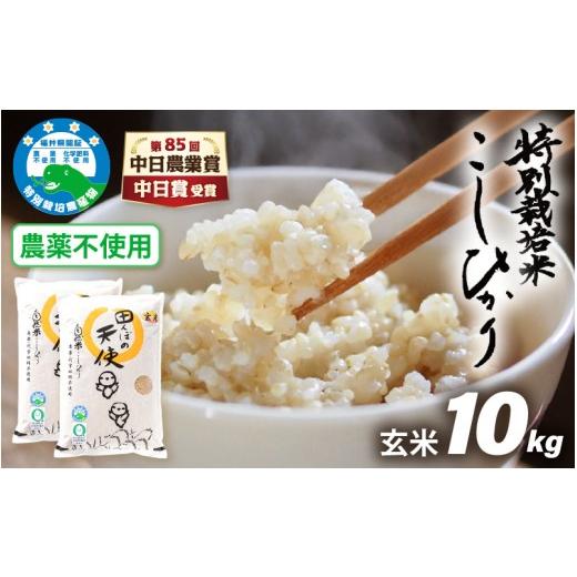 ふるさと納税 米 コシヒカリ 福井県 越前町 中日賞受賞 農薬不使用 特別栽培米コシヒカリ10kg(5kg×2) 玄米 福井県認証区分1取得「田んぼの天使」越前町 10…