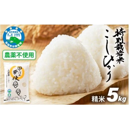 ふるさと納税 米 コシヒカリ 福井県 越前町 令和7年産 農薬不使用 特別栽培米コシヒカリ5kg 精米 福井県認証区分1取得「田んぼの天使」越前町 5キロ お米 コ…