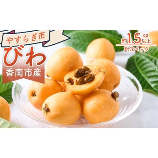 ふるさと納税 果物類 びわ 高知県 香南市 びわ 3パック 約1500g (1パックあたり10〜15個入) 香南市産 - 1.5kg 1.5キロ 国産 香南市産 1kg以上 1キロ以上 1…
