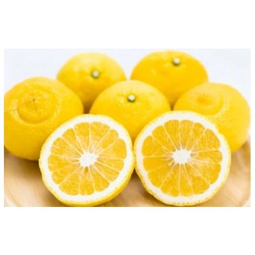 ふるさと納税 果物類 みかん 和歌山県 印南町 贈答用 森本農園の手選別 はるか 約5kg 和歌山県産 L〜2Lサイズ[北海道・沖縄・離島配送不可][RN154]