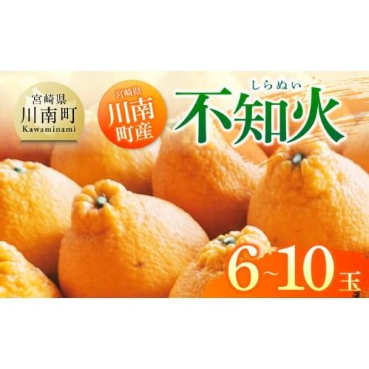 ふるさと納税 みかん・柑橘類 デコポン 宮崎県 川南町 宮崎県川南町産「不知火(しらぬい)」6〜10玉 果物 くだもの フルーツ しらぬい 不知火 デコポン み…