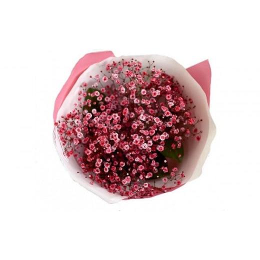 ふるさと納税 雑貨・日用品 花 大阪府 門真市 チェリーかすみの花束 かすみ草 カスミソウ 花束 花 誕生日 成人式 卒業祝い 初節句 ひな祭り バレンタイン お返…