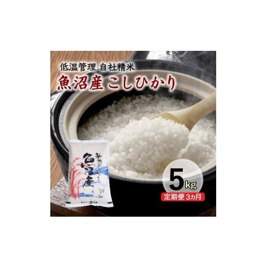 ふるさと納税 米 コシヒカリ 新潟県 十日町市 定期便/3ヵ月 魚沼産コシヒカリ 5kg 厳選 低温管理 自社精米 新潟 こしひかり
