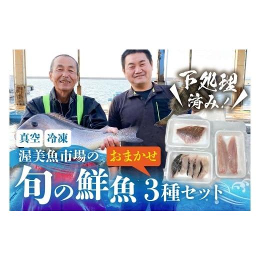 ふるさと納税 旬の鮮魚等 愛知県 田原市 旬の鮮魚 おまかせ3種セット 加熱用 下処理済み 捌き済み 簡単 鮮魚 魚介類 魚 魚セット 愛知県 田原市 海鮮 魚介類 …