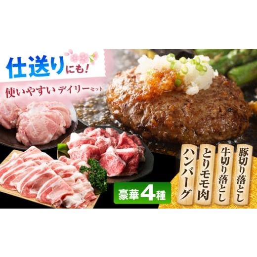 ふるさと納税 牛肉 佐賀県 江北町 通常発送 ハンバーグ付き 三栄のデイリーセット 肉の三栄 HAA203 通常発送