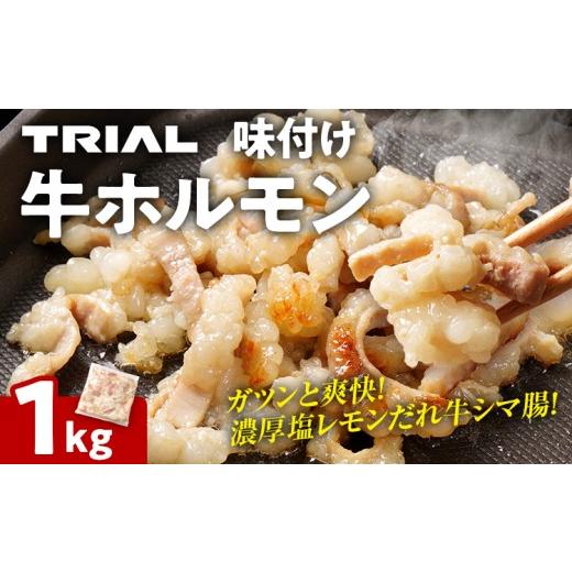 ふるさと納税 牛肉 ホルモン 福岡県 田川市 牛肉 ホルモン シマチョウ シマ腸 しま腸 味付け 牛ホルモン 1kg 味付き 味付き肉 レモン 塩レモン 塩レモンだれ …