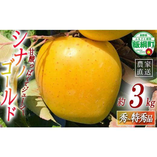 ふるさと納税 りんご 長野県 飯綱町 りんご シナノゴールド 秀 〜 特秀 3kg ( 8 〜 11玉 ) サイズおまかせ 関果樹園もりんご 沖縄県への配送不可 2026年11月上…