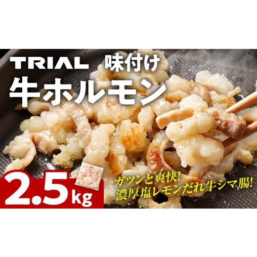 ふるさと納税 牛肉 ホルモン 福岡県 田川市 牛肉 ホルモン シマチョウ シマ腸 しま腸 味付け牛ホルモン 2.5kg 味付き 味付き肉レモン 塩レモン 塩レモンだれ …
