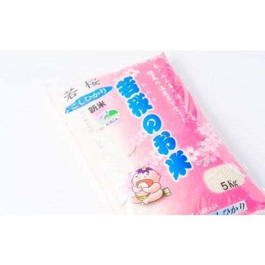 ふるさと納税 米 コシヒカリ 鳥取県 若桜町 36300.特別栽培米 若桜(わかさ)のお米 コシヒカリ 10kg