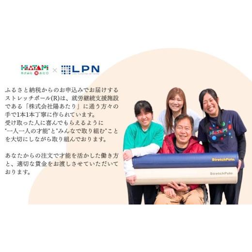 ふるさと納税 美容 大阪府 泉佐野市 LPN社製 ストレッチポールEX