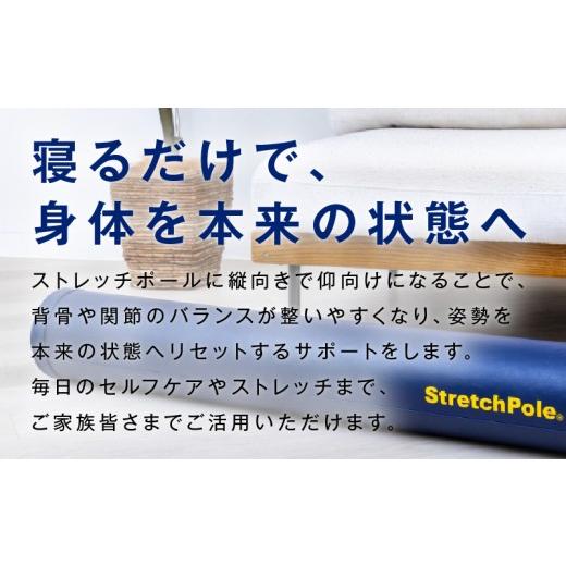 ふるさと納税 美容 大阪府 泉佐野市 LPN社製 ストレッチポールEX