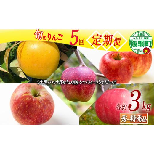 ふるさと納税 りんご 長野県 飯綱町 旬のりんご 5回 / 定期便 秀 〜 特秀 3kg × 5回 関果樹園もりんご 沖縄県への配送不可 2026年8月下旬頃から2026年11月下…