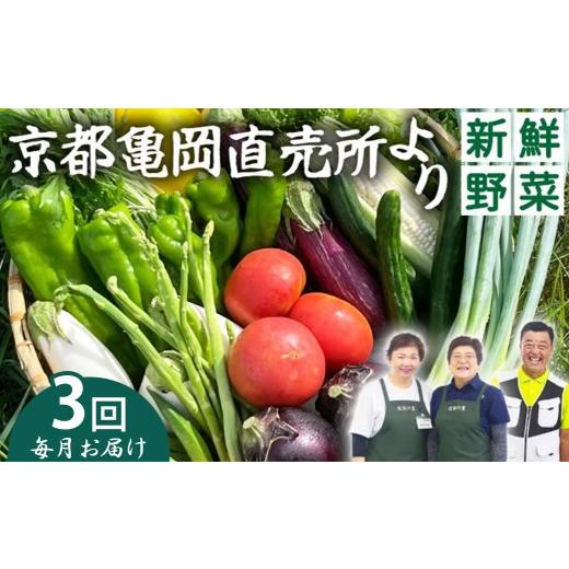 ふるさと納税 セット・詰合せ 京都府 亀岡市 5月発送 3回定期便(毎月1回) 野菜定期便 7~10種類 旬の野菜 「佐伯の里」 野菜セット 詰め合わせ 訳あり 生活応…