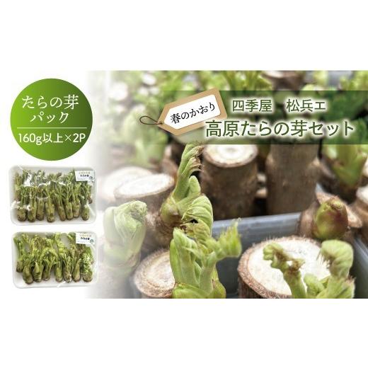 ふるさと納税 野菜類 山菜 山形県 大蔵村 四季屋 松兵エ 春のかおり「高原たらの芽」