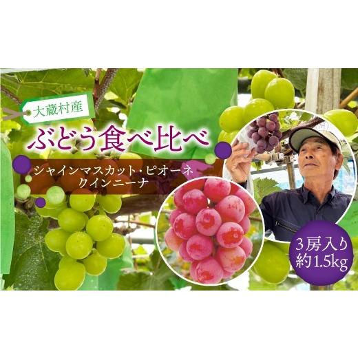 ふるさと納税 ぶどう マスカット 山形県 大蔵村 大蔵村産 ぶどう[シャインマスカット・ピオーネ・クインニーナ]食べ比べ 約1.5kg