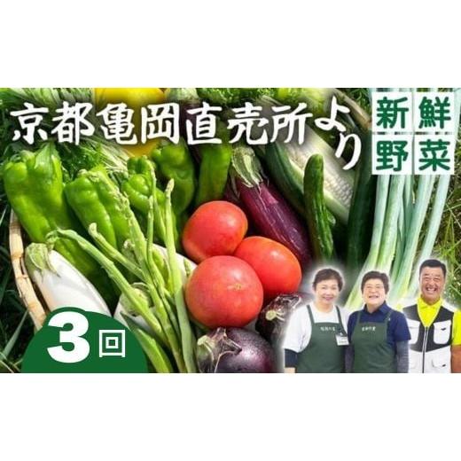 ふるさと納税 セット・詰合せ 京都府 亀岡市 4月発送 3回定期便(2ヶ月に1回) 野菜定期便 7~10種類 旬の野菜 「佐伯の里」 野菜セット 詰め合わせ 訳あり 生活…
