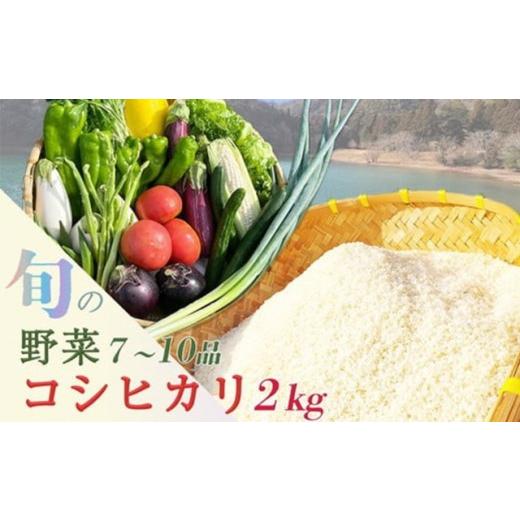 ふるさと納税 米 コシヒカリ 京都府 亀岡市 6月発送 3回定期便(2ヶ月に1回) 京都産 コシヒカリ2kg + 旬の野菜セット 京都 佐伯の里 新鮮 野菜 7〜10品 コシ…