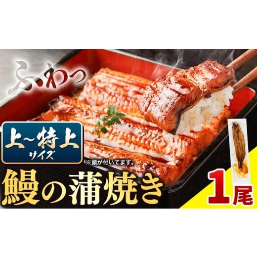 ふるさと納税 加工品等 徳島県 佐那河内村 国内産 鰻の蒲焼き 徳島県産 うなぎの蒲焼き 1尾 タレ・山椒付[30日以内に出荷予定(土日祝除く)]うなぎの蒲焼き …
