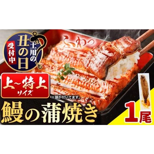 ふるさと納税 加工品等 徳島県 佐那河内村 国内産 鰻の蒲焼き 徳島県産 うなぎの蒲焼き 1尾 タレ・山椒付[土用の丑の日発送(7/15〜7/26)]うなぎの蒲焼き …