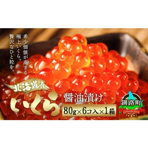 ふるさと納税 いくら 北海道 釧路町 北海道産 いくら醤油漬け80g×6コ入り×1箱 小分け 配送日時指定可能 国産 しょう油 イクラ ikura 鮭 鮭卵 鮭いくら 魚卵 …