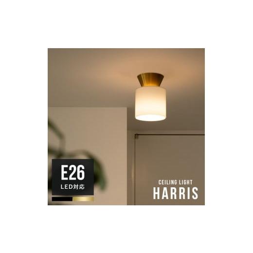 ふるさと納税 照明関連 愛媛県 伊予市 シーリングライト 1灯 ハリス ブラック Belled おしゃれ照明 一人暮らし 内玄関照明 照明 照明器具 北欧 インテリアライ…