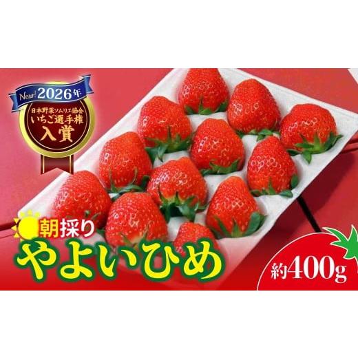 ふるさと納税 いちご 群馬県 前橋市 いちご やよいひめ 2026年全国いちご選手権入賞 400g × 1パック|イチゴ 苺 高品質 たっぷり 新鮮 完熟 旬 ストロベリー …