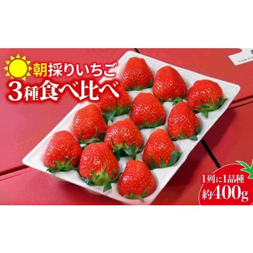 ふるさと納税 いちご 群馬県 前橋市 いちご 3種食べ比べ 400g 2026年全国いちご選手権入賞|イチゴ 苺 高品質 たっぷり 新鮮 完熟 旬 ストロベリー 高級 産地…