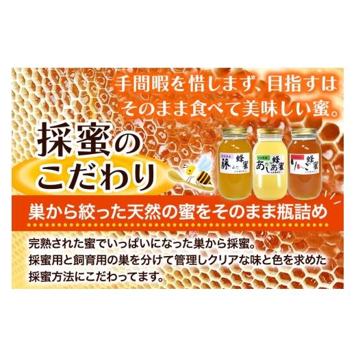 ふるさと納税 加工品等 はちみつ 秋田県 八峰町 はちみつ 藤蜂蜜 国産 2400g×1本 秋田県産100％ 秋田白神の天然蜂蜜 米森養蜂園 はちみつ 天然 藤蜂蜜 2400g1…の画像
