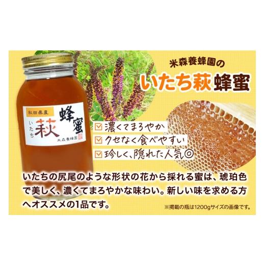ふるさと納税 加工品等 はちみつ 秋田県 八峰町 はちみつ いたち萩蜂蜜 国産 1200g×1本 秋田県産100％ 秋田白神の天然蜂蜜 米森養蜂園 はちみつ 天然 いたち…の画像