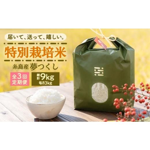 ふるさと納税 米 福岡県 吉富町 全3回定期便 とくべつの中のとくべつ 特別栽培米 3kg 夢つくし 吉富町/(株)やました