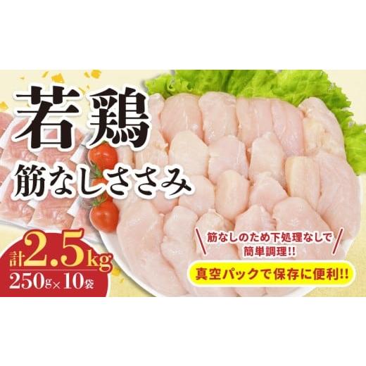 ふるさと納税 鶏肉 ささみ 宮崎県 日南市 若鶏 筋なし ささみ 計2.5kg 鶏肉 国産 チキン ササミ 人気 小分け 便利 おかず お弁当 食品 真空パック ヘルシー 高…