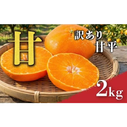 ふるさと納税 果物類 みかん 愛媛県 松山市 甘平 訳あり 2kg 順次発送中 | みかん 柑橘 みかん かんぺい ワケアリ 柑橘 みかん 果物 おすすめ 高級 愛媛三大柑…