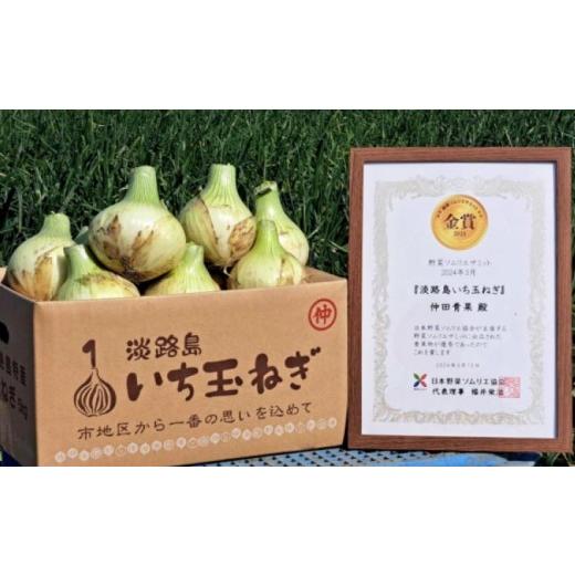 ふるさと納税 野菜類 玉ねぎ 兵庫県 南あわじ市  野菜ソムリエサミット金賞 淡路島新玉ねぎ10kg 仲田青果の淡路島いち玉ねぎ   配送3月上旬〜5月下旬 淡路島…の画像