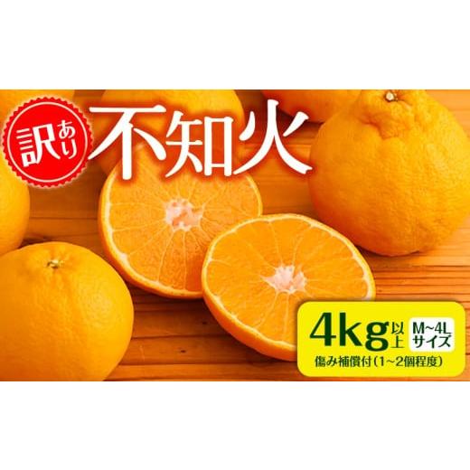 ふるさと納税 果物類 みかん 宮崎県 宮崎市 [2026年発送] 数量・期間限定 訳あり不知火4kg